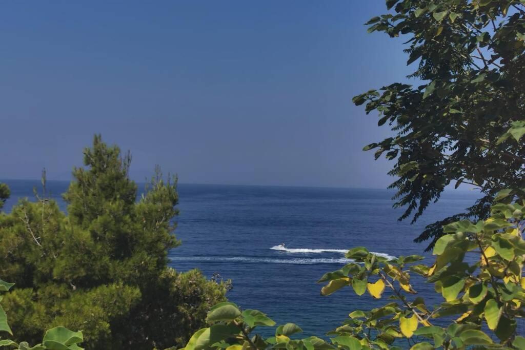 Spectacular Seaview Apartment Vlorë Buitenkant foto